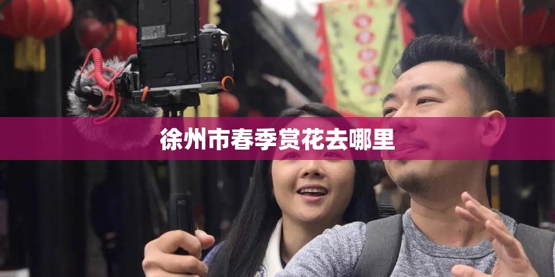 徐州市春季赏花去哪里