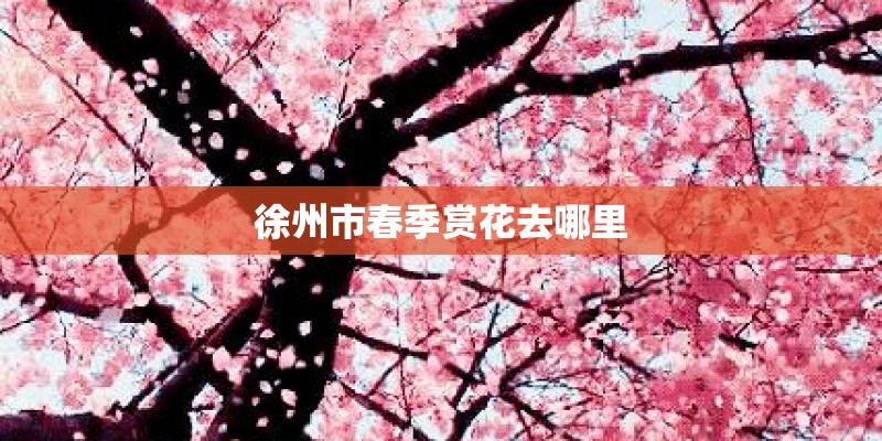 徐州市春季赏花去哪里