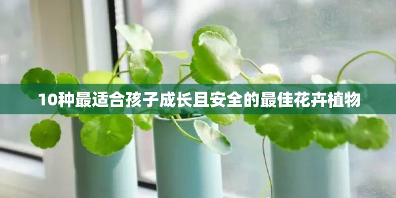 10种最适合孩子成长且安全的最佳花卉植物