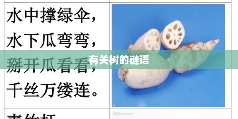 有关树的谜语