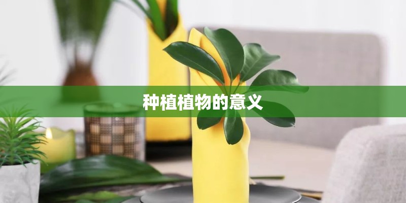 种植植物的意义