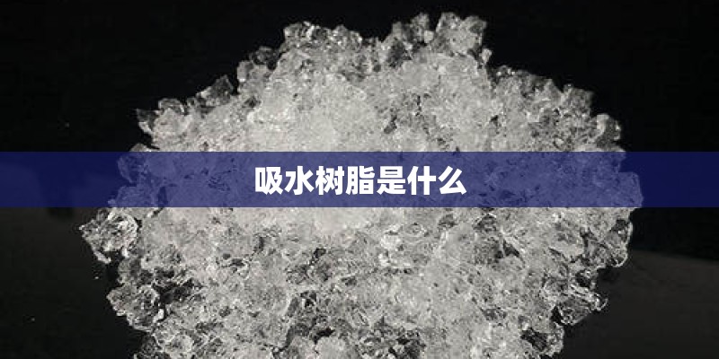 吸水树脂是什么