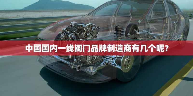 中国国内一线阀门品牌制造商有几个呢？