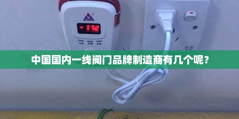 中国国内一线阀门品牌制造商有几个呢？