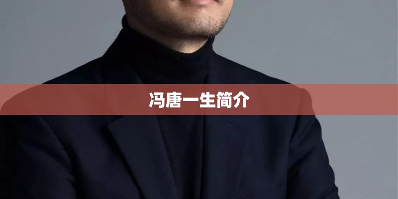 冯唐一生简介 冯唐一生简介