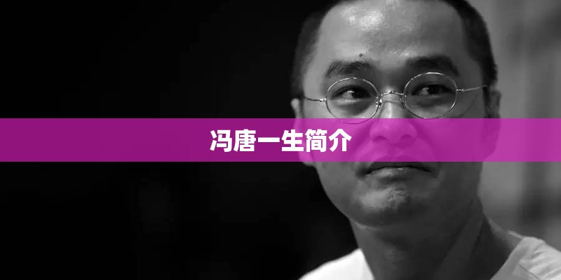 冯唐一生简介 冯唐一生简介