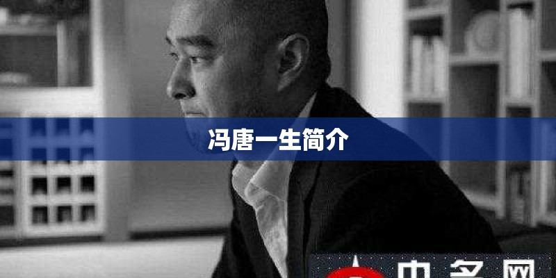 冯唐一生简介 冯唐一生简介