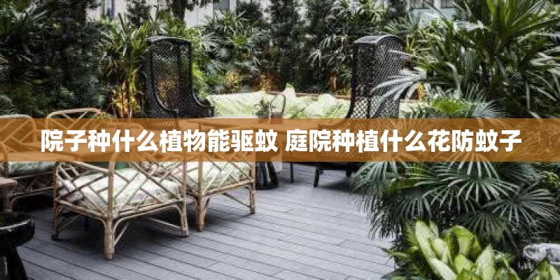 院子种什么植物能驱蚊 庭院种植什么花防蚊子