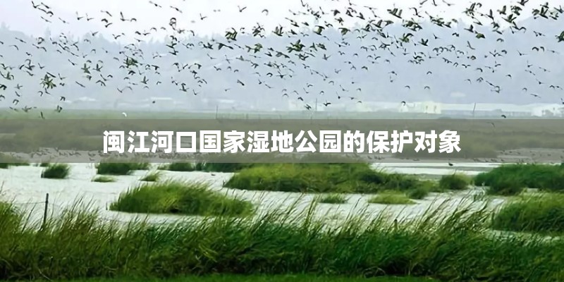 闽江河口国家湿地公园的保护对象