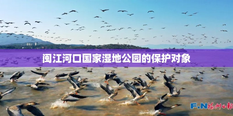 闽江河口国家湿地公园的保护对象