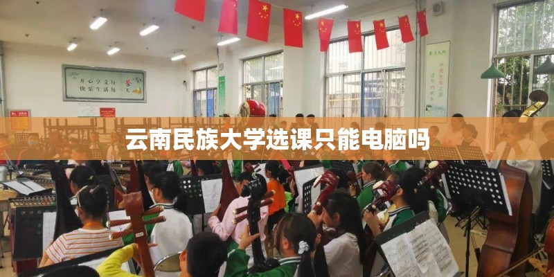 云南民族大学选课只能电脑吗
