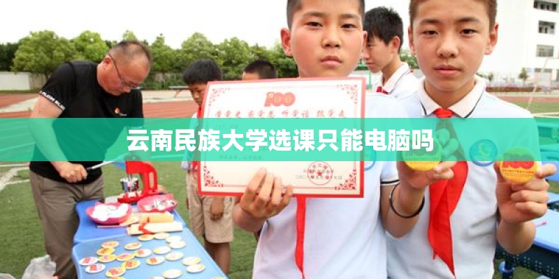 云南民族大学选课只能电脑吗