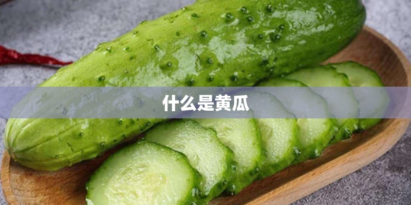 什么是黄瓜 什么是黄瓜