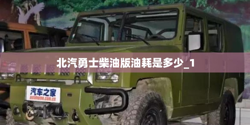 北汽勇士柴油版油耗是多少_1