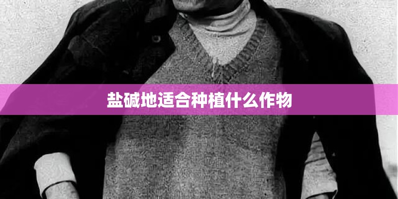 盐碱地适合种植什么作物