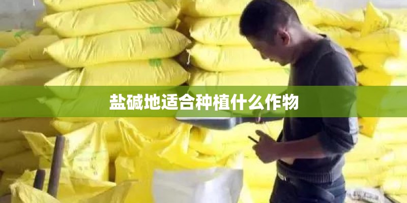 盐碱地适合种植什么作物