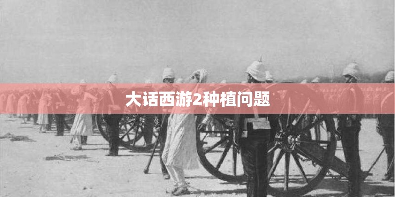 大话西游2种植问题