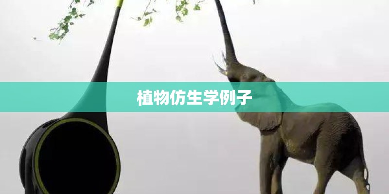 植物仿生学例子