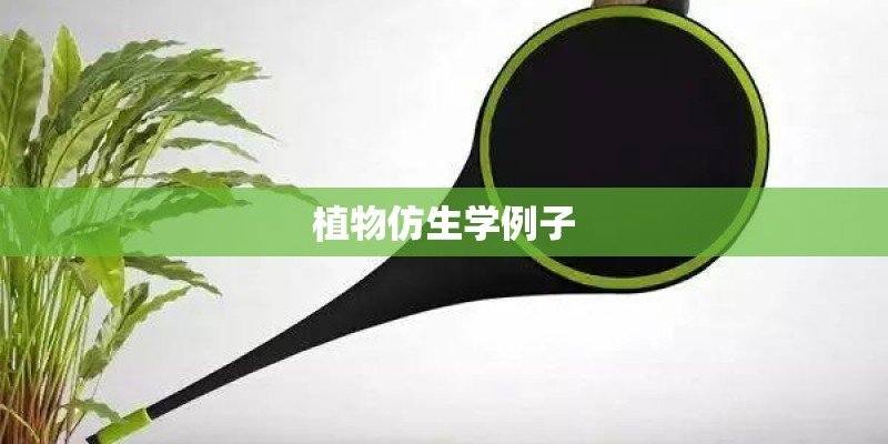植物仿生学例子