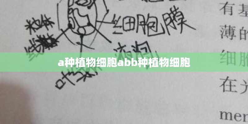a种植物细胞abb种植物细胞