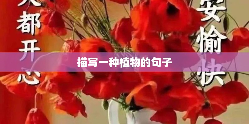 描写一种植物的句子