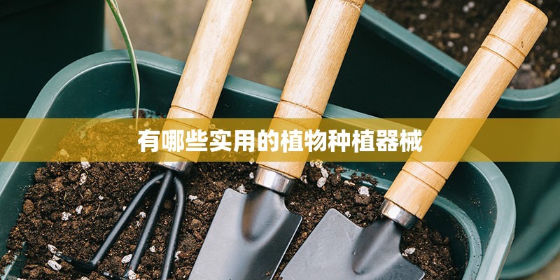 有哪些实用的植物种植器械