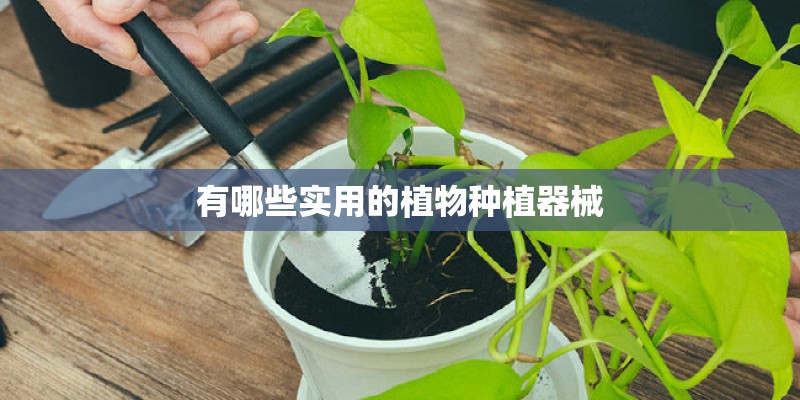 有哪些实用的植物种植器械
