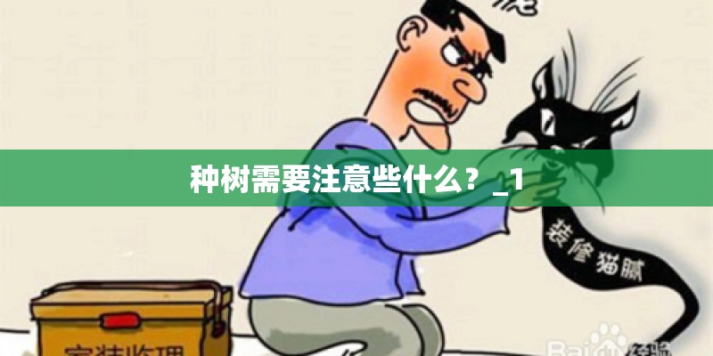 种树需要注意些什么？_1