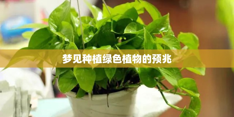 梦见种植绿色植物的预兆