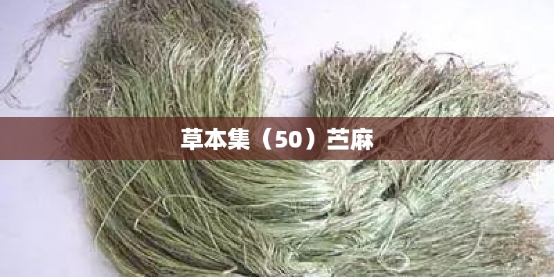草本集（50）苎麻