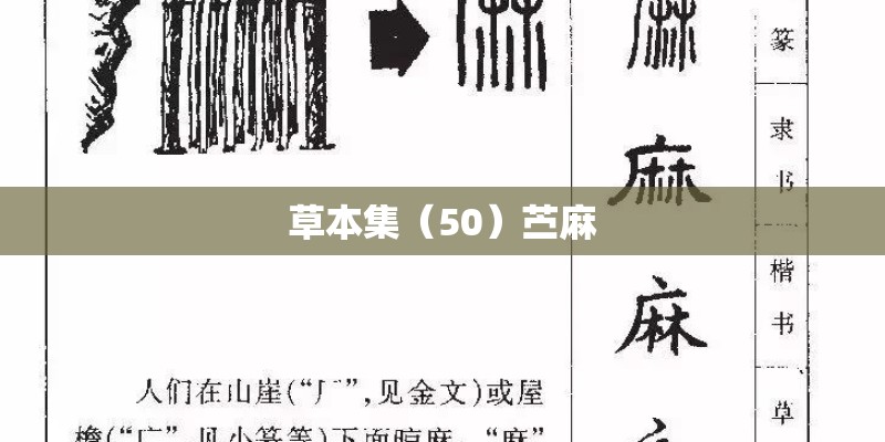 草本集（50）苎麻