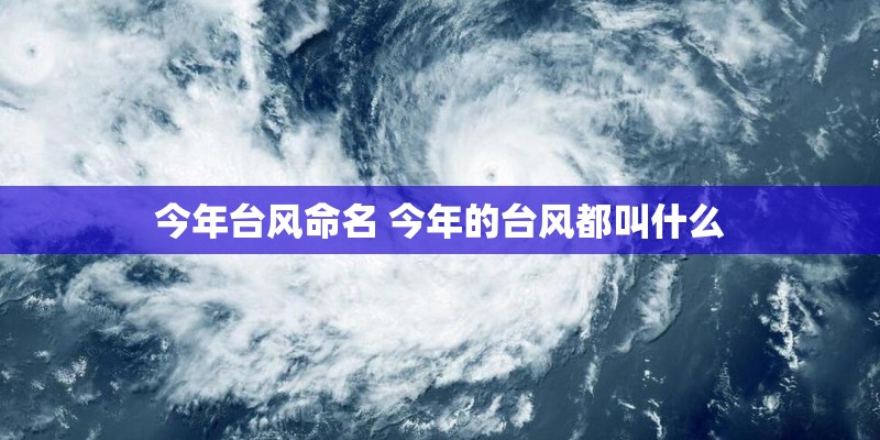 今年台风命名 今年的台风都叫什么
