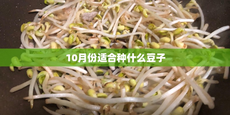 10月份适合种什么豆子