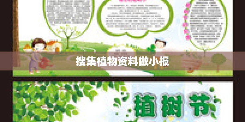 搜集植物资料做小报