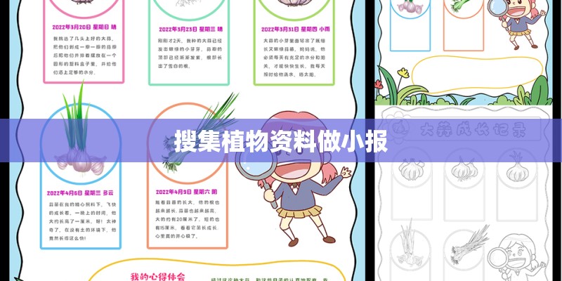 搜集植物资料做小报