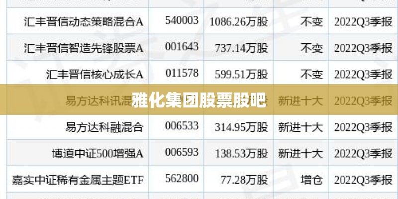 雅化集团股票股吧