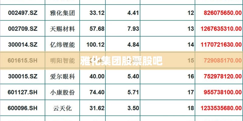 雅化集团股票股吧