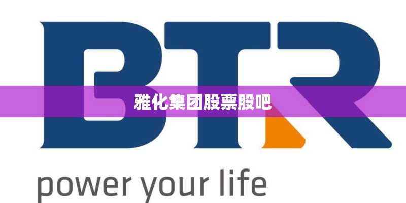 雅化集团股票股吧