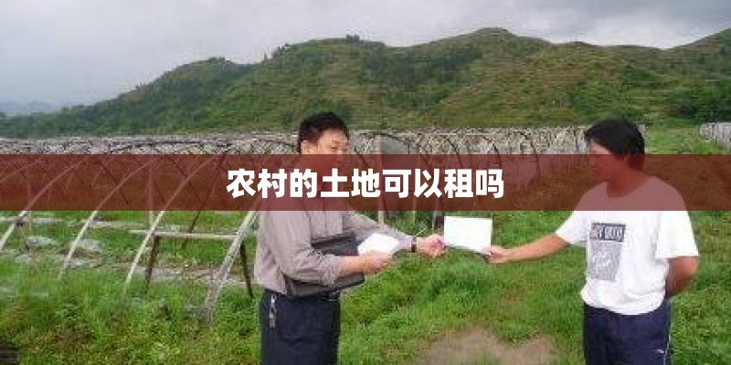 农村的土地可以租吗