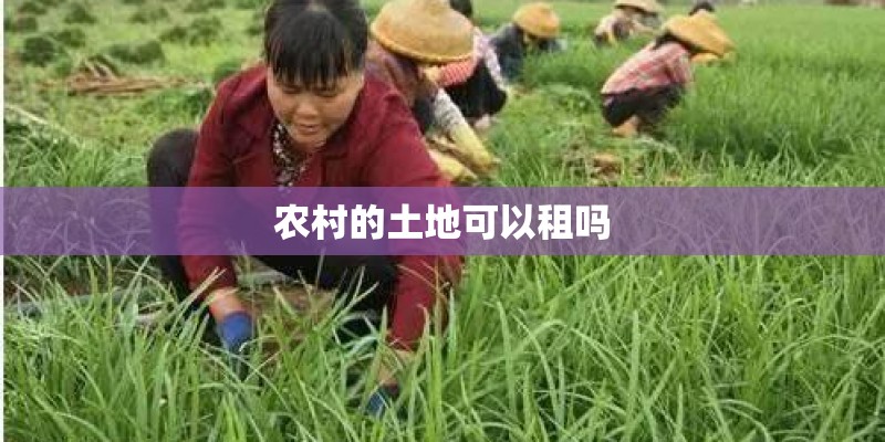 农村的土地可以租吗