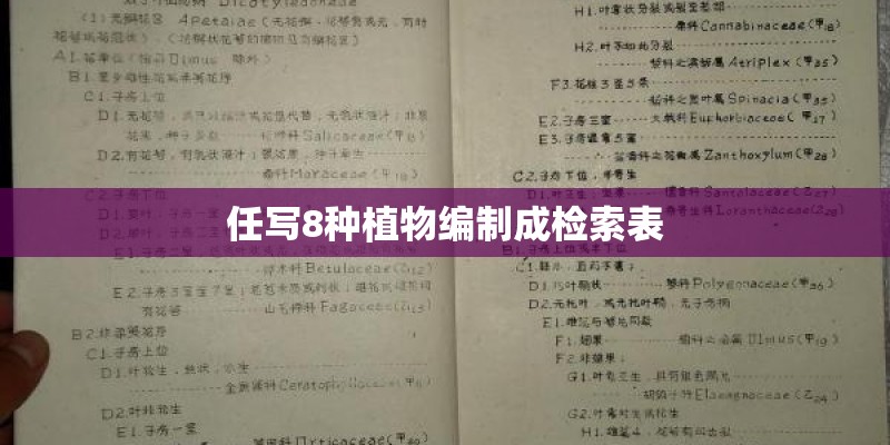 任写8种植物编制成检索表