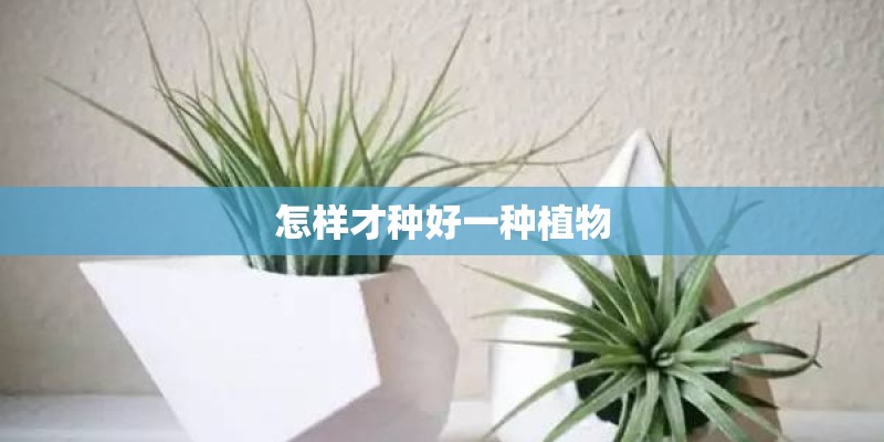 怎样才种好一种植物