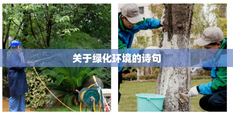 关于绿化环境的诗句