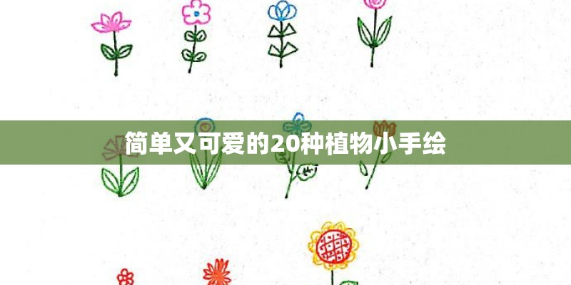 简单又可爱的20种植物小手绘
