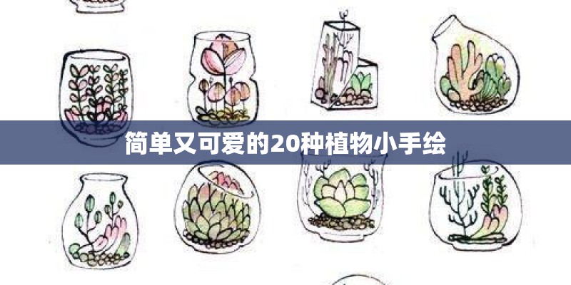 简单又可爱的20种植物小手绘