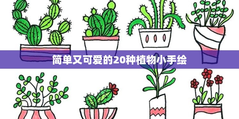 简单又可爱的20种植物小手绘