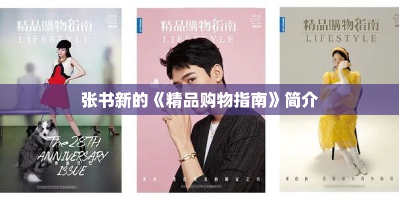 张书新的《精品购物指南》简介