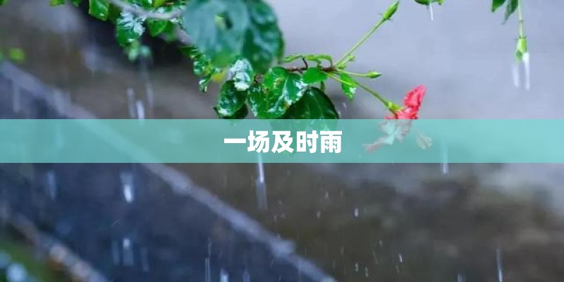 一场及时雨