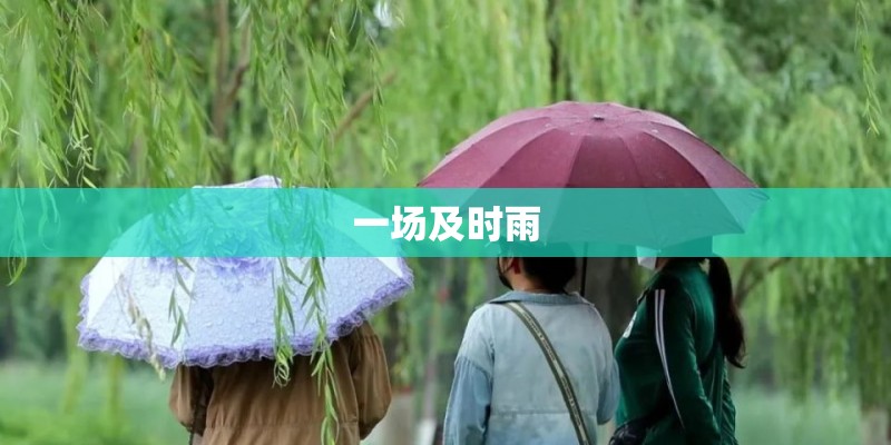 一场及时雨