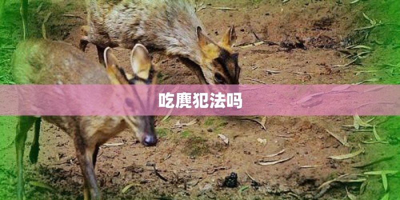 吃麂犯法吗